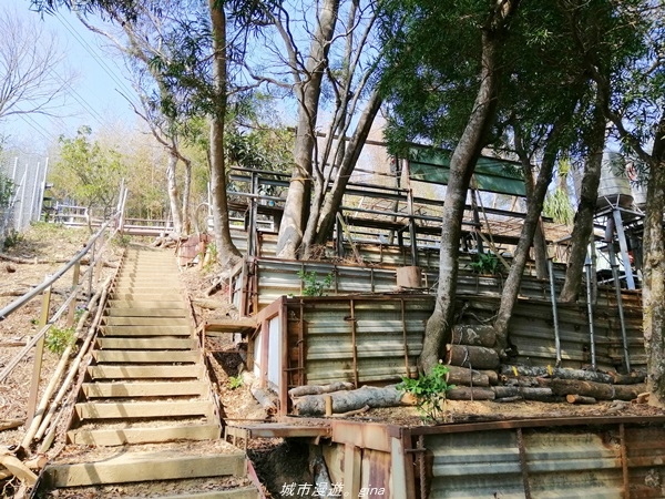 IMG_20210130_123823.jpg IMG_20210130_123823.jpg