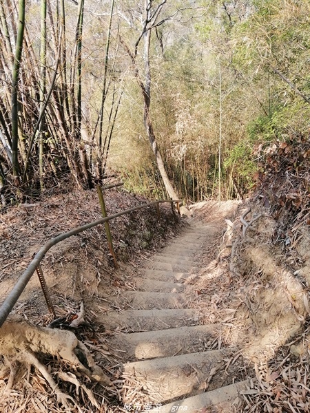 IMG_20210130_123402.jpg IMG_20210130_123402.jpg