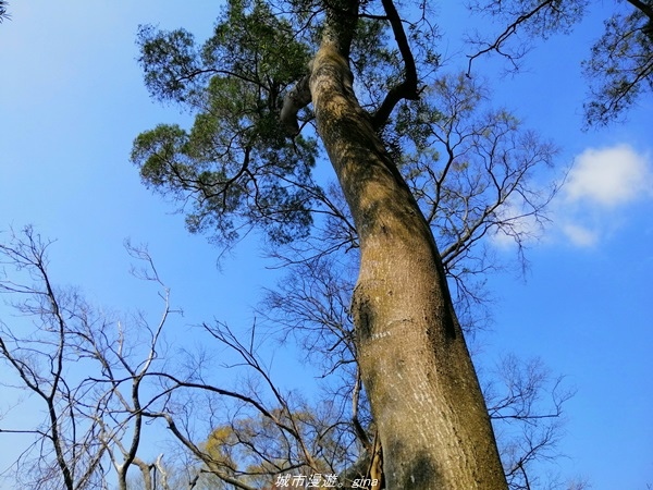 IMG_20210130_123532.jpg IMG_20210130_123532.jpg