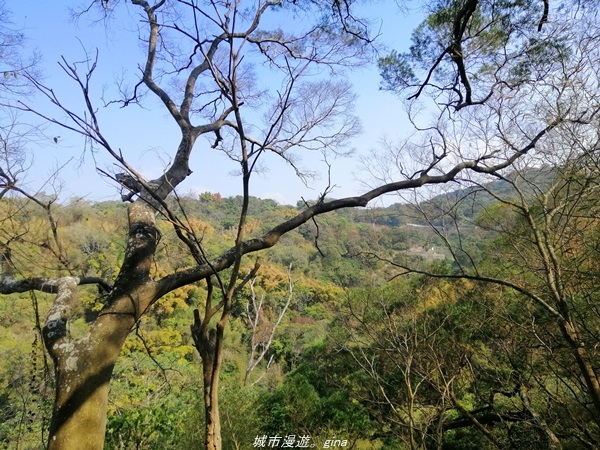 IMG_20210130_124258.jpg IMG_20210130_124258.jpg