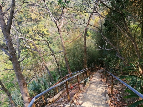 IMG_20210130_124359.jpg IMG_20210130_124359.jpg