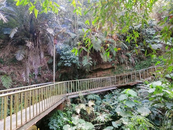 IMG_20210130_124910.jpg IMG_20210130_124910.jpg