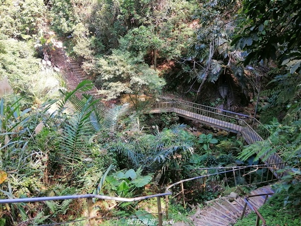 IMG_20210130_124730.jpg IMG_20210130_124730.jpg