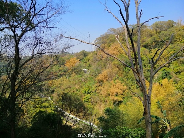 IMG_20210130_130112.jpg IMG_20210130_130112.jpg