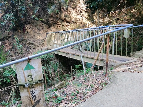 IMG_20210130_125324.jpg IMG_20210130_125324.jpg