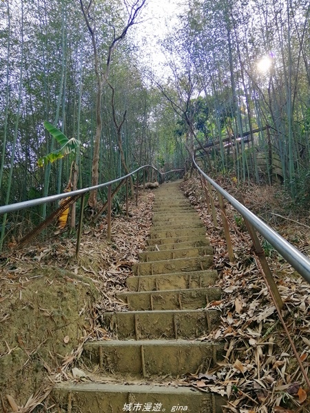 【台中豐原】悠靜的秘境步道。 三崁頂健康步道(北坑步道)