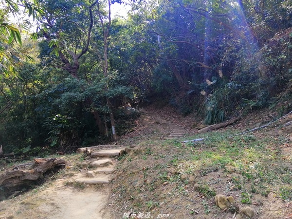 IMG_20210130_130657.jpg IMG_20210130_130657.jpg