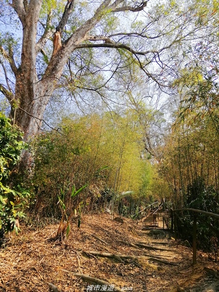 IMG_20210130_131330.jpg IMG_20210130_131330.jpg