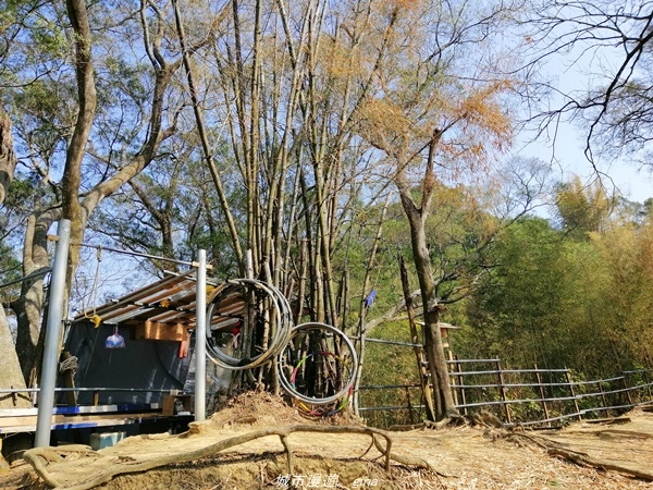 IMG_20210130_131606.jpg IMG_20210130_131606.jpg