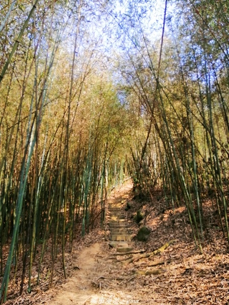 IMG_20210130_134005.jpg IMG_20210130_134005.jpg