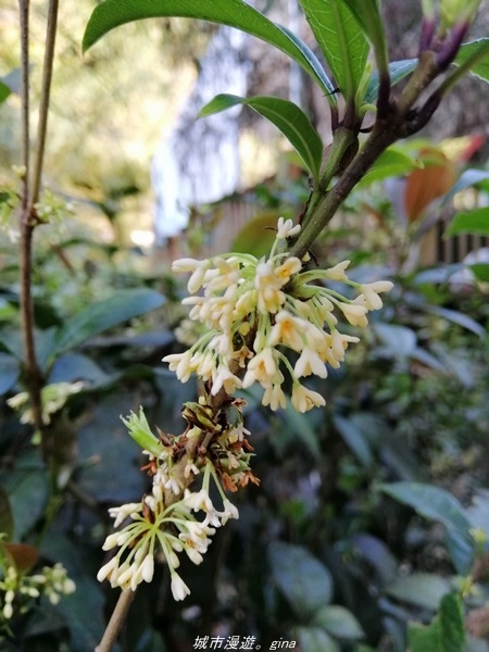 IMG_20210130_140602.jpg IMG_20210130_140602.jpg