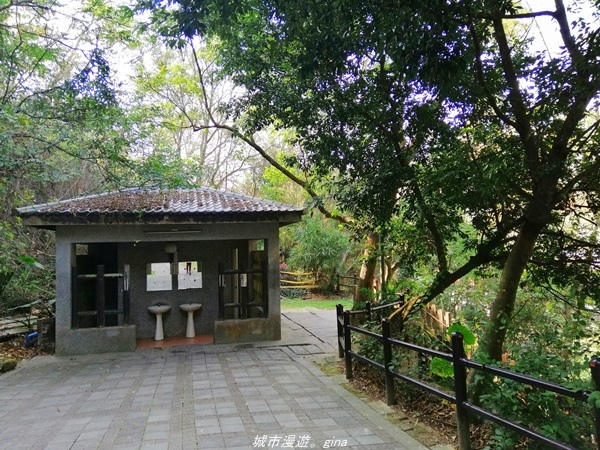 IMG_20210130_141117.jpg IMG_20210130_141117.jpg