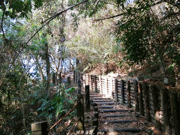 IMG_20210131_093410.jpg IMG_20210131_093410.jpg