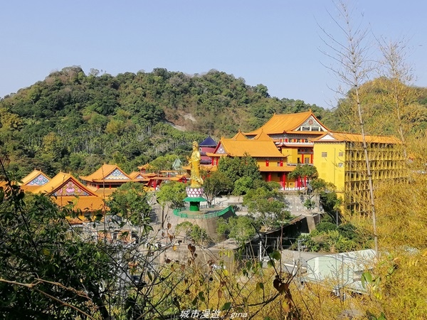 【台中太平】仙氣繩橋山林環繞。 蝙蝠洞登山步道x延伸步道