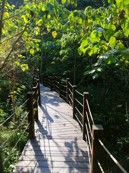 IMG_20210131_093923.jpg IMG_20210131_093923.jpg