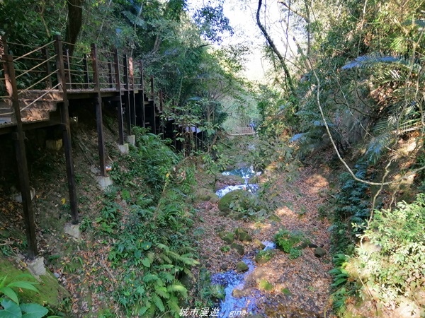 【台中太平】仙氣繩橋山林環繞。 蝙蝠洞登山步道x延伸步道