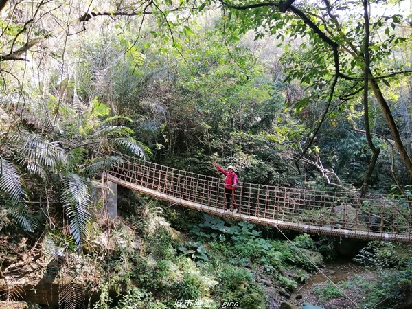 【台中太平】仙氣繩橋山林環繞。 蝙蝠洞登山步道x延伸步道