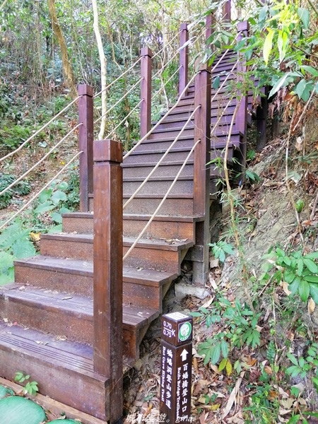 IMG_20210131_100106.jpg IMG_20210131_100106.jpg