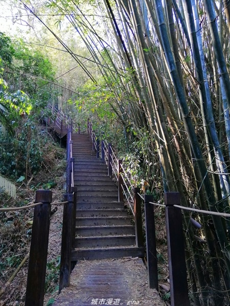 IMG_20210131_100247.jpg IMG_20210131_100247.jpg