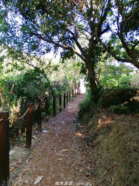 IMG_20210131_100335.jpg IMG_20210131_100335.jpg