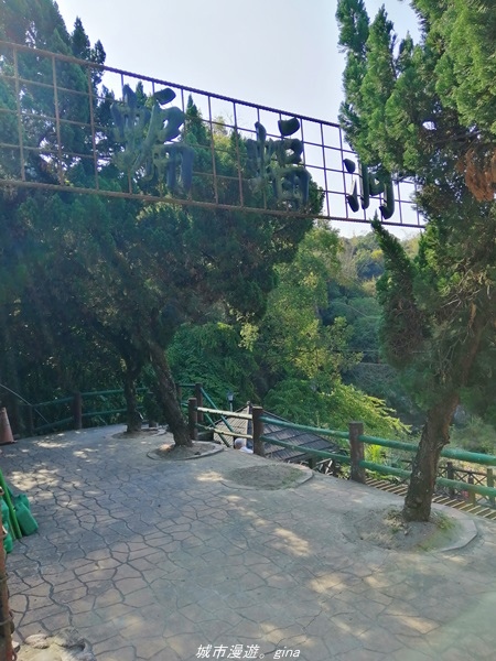 IMG_20210131_100750.jpg IMG_20210131_100750.jpg