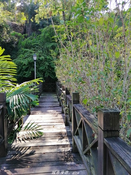 IMG_20210131_100911.jpg IMG_20210131_100911.jpg