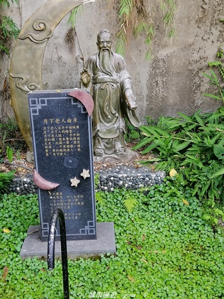 IMG_20210131_101105.jpg IMG_20210131_101105.jpg