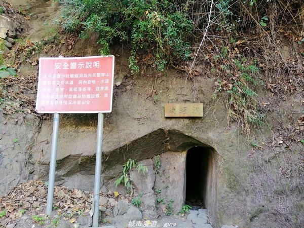 IMG_20210131_100938.jpg IMG_20210131_100938.jpg