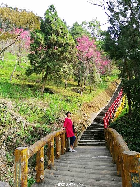 【苗栗獅潭】登高望遠。 仙山協靈宮九天玄女娘娘x仙山仙草