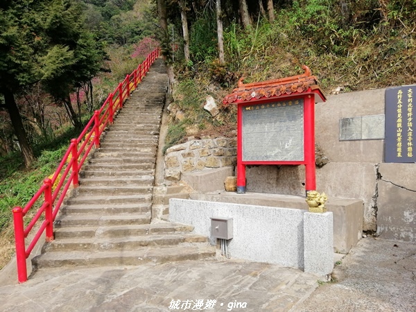 【苗栗獅潭】登高望遠。 仙山協靈宮九天玄女娘娘x仙山仙草