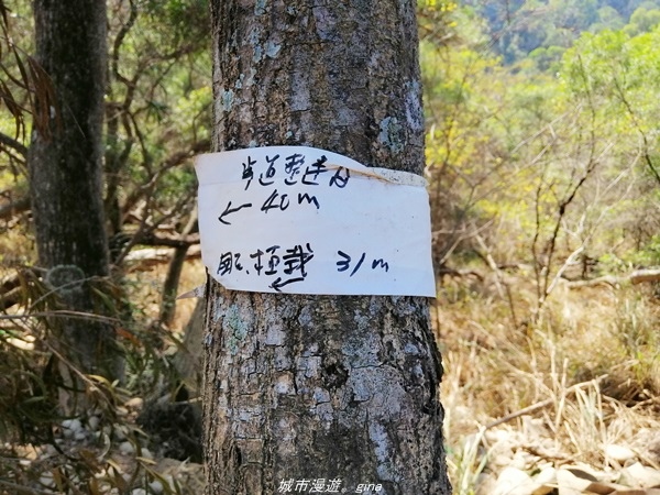 【台中大肚】懷舊之旅賞~百年古井、緬梔老樹~瑞井古井步道x瑞