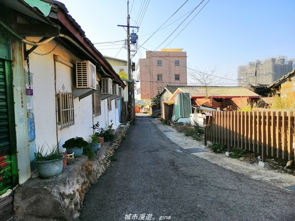 【台中大肚】懷舊之旅賞~百年古井、緬梔老樹~瑞井古井步道x瑞