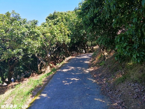 【台中大里】跟著土地公指標趣味走。 金螢寶山貴妃道