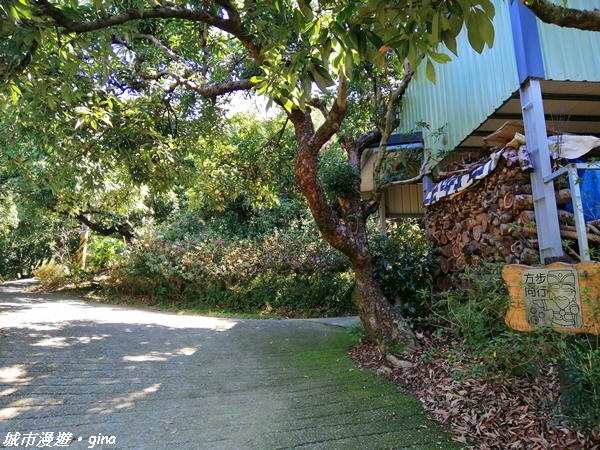 【台中大里】跟著土地公指標趣味走。 金螢寶山貴妃道