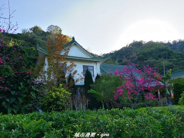 IMG_20210213_135804.jpg IMG_20210213_135804.jpg