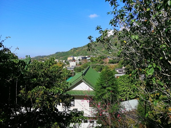 IMG_20210213_135937.jpg IMG_20210213_135937.jpg