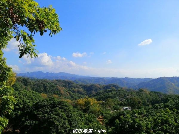 【台中太平】原始悠靜山林。 淨德寺後山步道