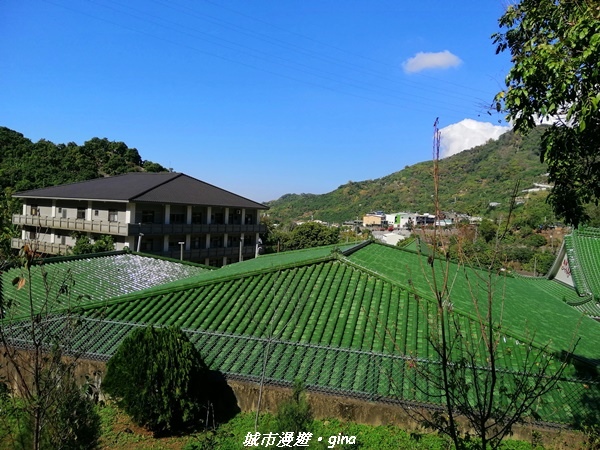 IMG_20210213_140038.jpg IMG_20210213_140038.jpg