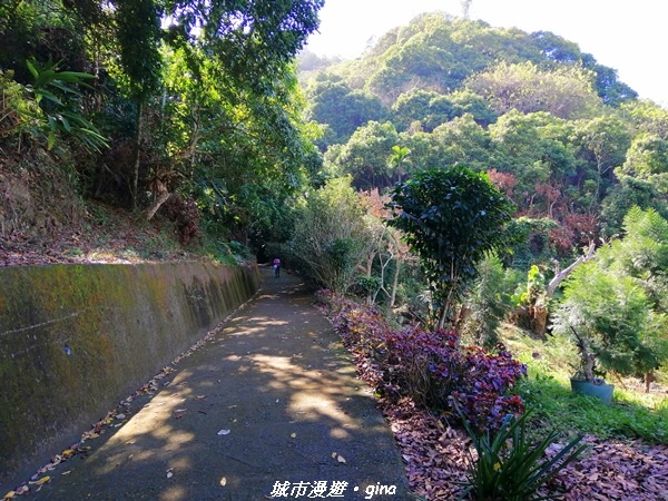 【台中太平】原始悠靜山林。 淨德寺後山步道