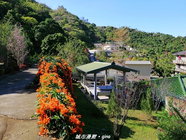 【台中太平】原始悠靜山林。 淨德寺後山步道