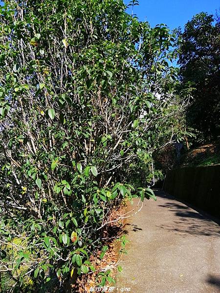 IMG_20210213_135939.jpg IMG_20210213_135939.jpg