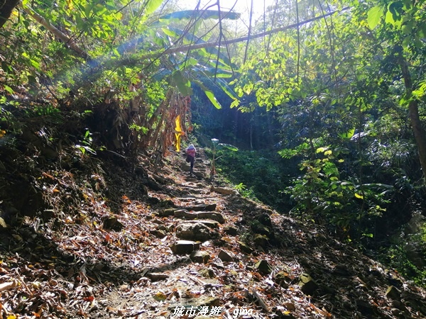 IMG_20210213_140449.jpg IMG_20210213_140449.jpg