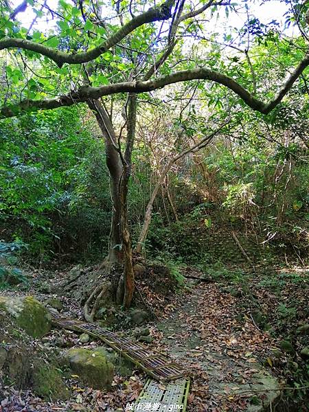 IMG_20210213_140644.jpg IMG_20210213_140644.jpg