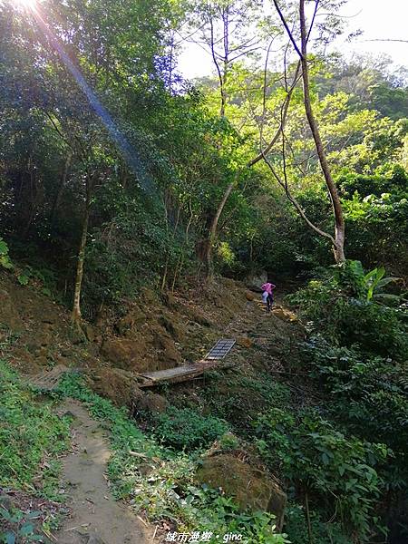 IMG_20210213_140537.jpg IMG_20210213_140537.jpg