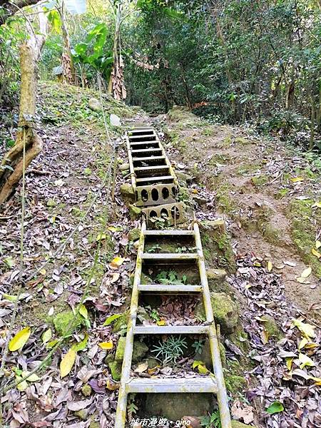 IMG_20210213_140720.jpg IMG_20210213_140720.jpg