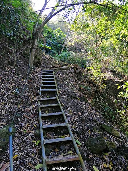 【台中太平】原始悠靜山林。 淨德寺後山步道