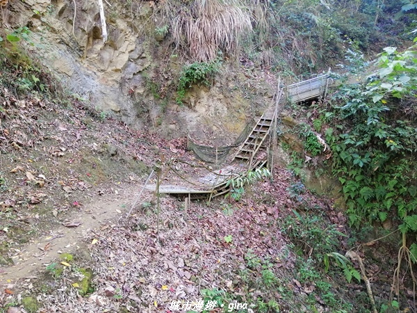 IMG_20210213_141111.jpg IMG_20210213_141111.jpg