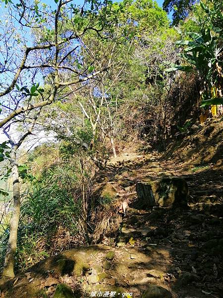 IMG_20210213_140827.jpg IMG_20210213_140827.jpg