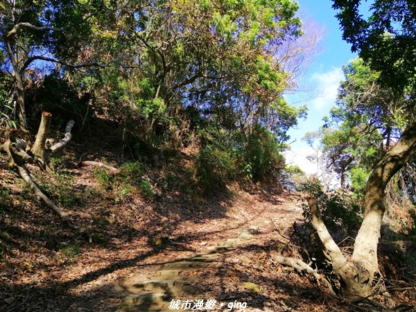 IMG_20210213_141740.jpg IMG_20210213_141740.jpg