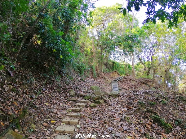 IMG_20210213_142240.jpg IMG_20210213_142240.jpg